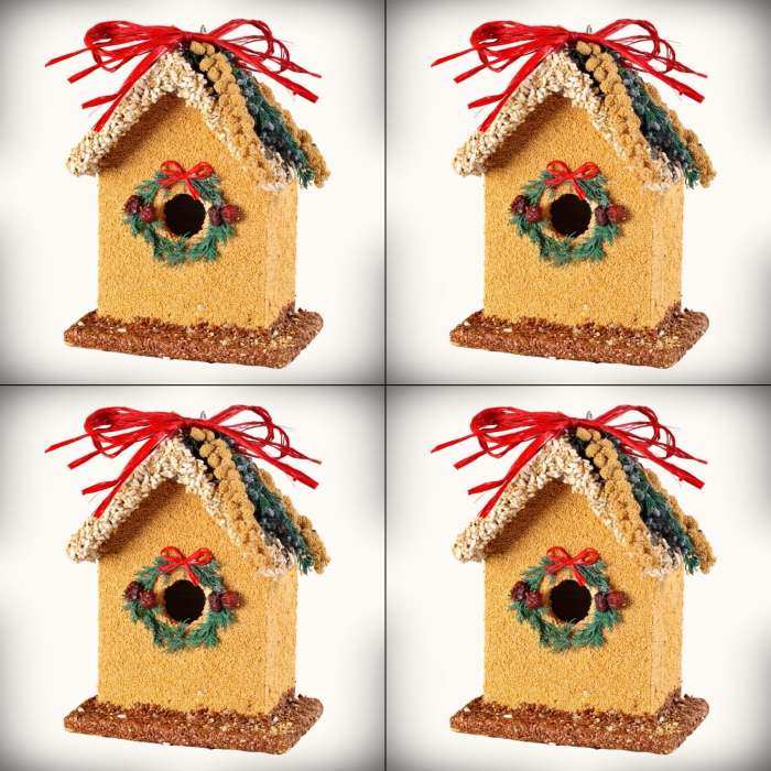 Birdie's Bed & Breakfast Bluebird House 4/Pack